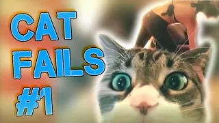 CAT FAILS BEST COMPILATION  #1