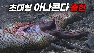 '아나콘다'는 '2'가 레전드입니다.