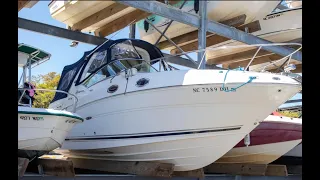 2007 Sea Ray 260 Sundancer Boat For Sale at MarineMax Wrightsville Beach, NC