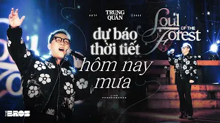 Dự Báo Thời Tiết Hôm Nay Mưa - Trung Quân live at #souloftheforest