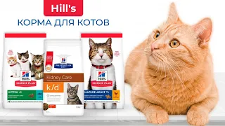 Сухие и влажные корма Hill’s для кошек