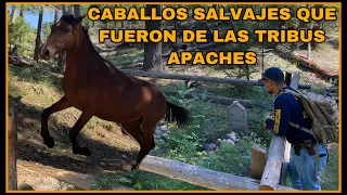 AVENTURA NÚMERO 300 LAS TUMBAS DE LOS TRES AHORCADOS Y ALGUNOS CABALLOS SALVAJES DE LOS APACHES