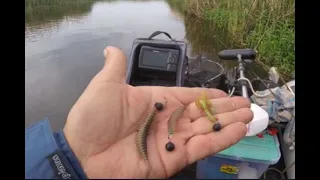 Ryby z klimatycznej Podlaskiej Amazonki. Okonie i grube bonusy. Nie spodziewałem się tego.