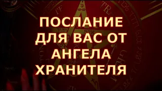 🕊️ ВАШ АНГЕЛ ХРАНИТЕЛЬ ВАМ ХОЧЕТ СКАЗАТЬ СЕГОДНЯ 31.12. Таротерапия знаки судьбы таро гадание #tarot