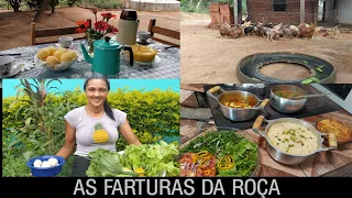 PREPAREI UM ALMOÇO USANDO APENAS INGREDIENTES DO QUINTAL/CAFÉ DA MANHÃ/FAXINA/DICAS COM AS GALINHAS