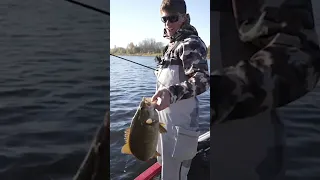 Catching the biggest bass of his life ( Insane smallie fishing ) #shorts