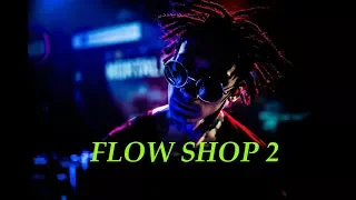 Flow Shop 2