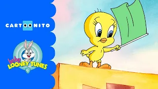 Baby Looney Tunes | Toy Car Race | Cartoonito UK