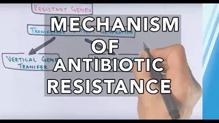 Mechanism of Antibiotic Resistance