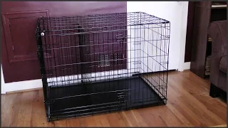 Dog Crate Setup