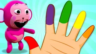 Finger Family Collection : Colors Finger Family Song + More Kids Songs by Nursery Rhymes Street