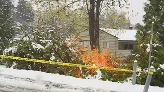 Fallen powerline sparks brush fire in SW Portland