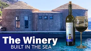 The Winery Built Underwater 🍷 Zlatan Otok (Underwater Winery, Croatia)