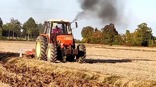 Ripuntatura con Fiat 1300 dt, cu scarificatorul