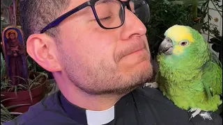 What is Vocations Thursday? Priest and his parrot explains.