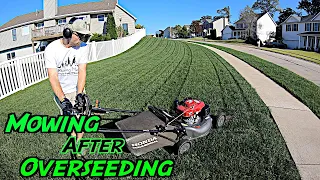 FIRST Mow After Overseeding Results // BEST Lawn in the Neighborhood