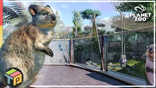 Cutest animal yet!? | Quokka Habitat | Tiguidou Zoo | Planet Zoo
