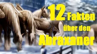 12 FAKTEN über das Abraxas Pferd 🐴