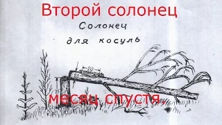 Солонец для косули . Месяц спустя.