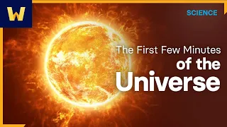 The First Few Minutes of the Universe