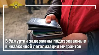 Ирина Волк: Задержаны подозреваемые в незаконной легализации мигрантов на территории Удмуртии