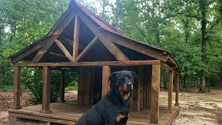 Building a Rustic Cabin For My Dog For FREE???