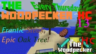 The Woodpecker HC [13] - Frantic Steak, Epic Oak Tree!