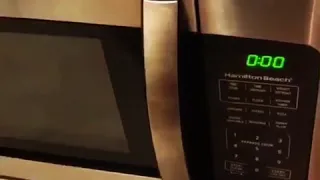 Cat in microwave 🐱🍗😱🤮