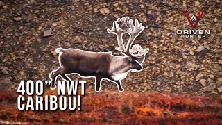 400" Mountain Caribou! Backpack hunting in the Northwest Territories.