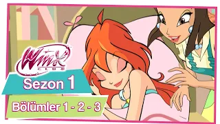 Winx Club - Sezon 1 Bölümler 1 . 2 . 3 [TÜM BÖLÜMLER]