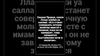 Правильным ли будет совершать мне таравих в одиночку?