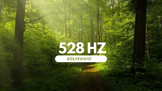 💫 528Hz Sound Bath for Positive Change:  | Solfeggio Frequency Series