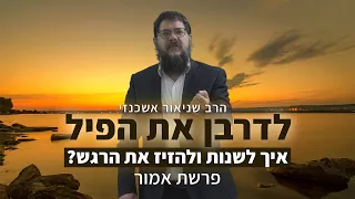 הרב שניאור אשכנזי - פרשת  אמור • לדרבן את הפיל: איך להניע את המערכת הרגשית?