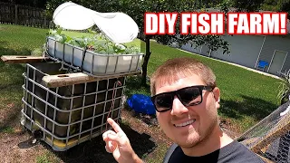 DIY Fish Farming (How To)