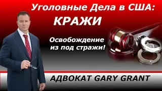 Уголовные Дела в США:  КРАЖИ! Освобождение из под стражи! Адвокат Gary Grant