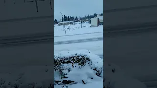 Everett  wa snow season