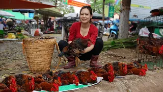 Harvesting chickens to sell - Buying food to take care of my sick Mother - Ngân Daily Life