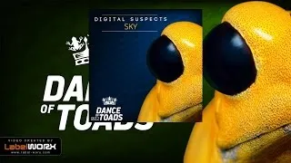 Digital Suspects - Sky (Original Mix)