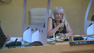 Thurrock Council - Full Council, 21/07/2021