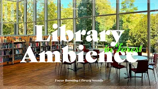 집중에 도움이 되는 숲속 도서관 입체음향 / 백색소음, ASMR
