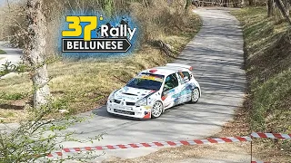 37° Rally Bellunese Full Attack & Show