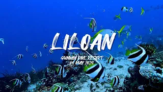 스쿠버여행 @ 필리핀 릴로안 2024년5월 | Scuba trip to Liloan, Philippines, MAY 2024 | 수밀론, Sumilon Island