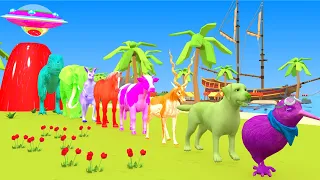 Paint Animals cow lion dinosaur elephant pig Kangaroo leopard hippo dog cat - Paint Color #part1