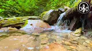 Mountain Stream 12 Hours. Nature sounds For Sleep, Relaxation and Meditation.