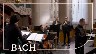 Bach - Cantata Jesus schläft, was soll ich hoffen BWV 81 - Sato | Netherlands Bach Society