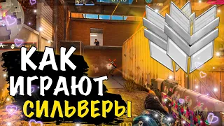 СИЛЬВЕРЫ НА РАСТЕ В 2024 ГОДУ?!?!  ДЕМКА В СОЮЗНИКАХ | STANDOFF 2