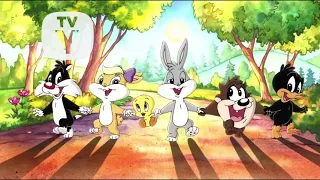 Baby Looney Tunes Intro with Nick Jr. TV-Y Rating Bug