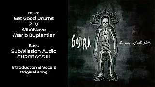 Gojira - Vacuity - Guitar Backing Track with vocals