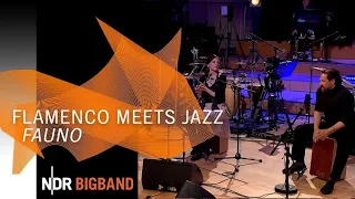 NDR Bigband feat. Elva y Tomás: "Fauno" | Flamenco meets Jazz | NDR