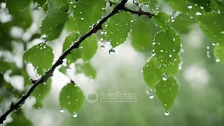 Ambient Sounds for Relaxation | Piano Music and Ambient Rain Sounds for Mindfulness 🌧️🌊